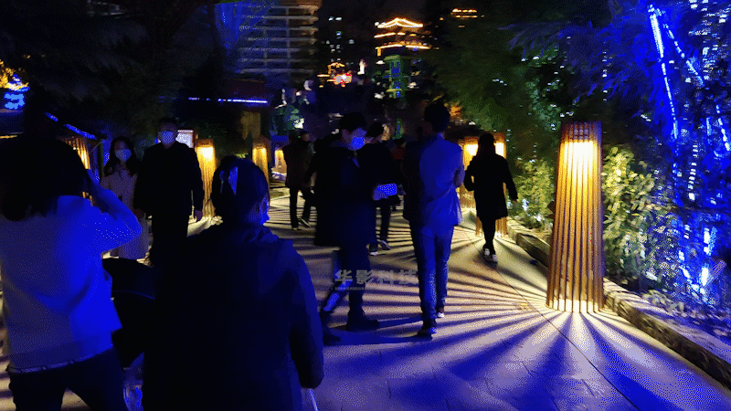 11竹林秘境.gif 11竹林秘境.gif